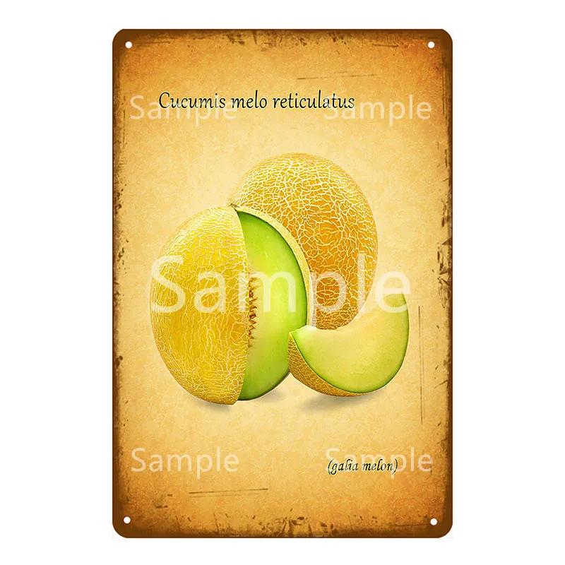 Памятная доска Thatchers Фрукты Бананы Металлическая вывеска Винтажное украшение фермы Домашний декор Наклейка на стену Магазин Живопись Постер для ресторана YL168