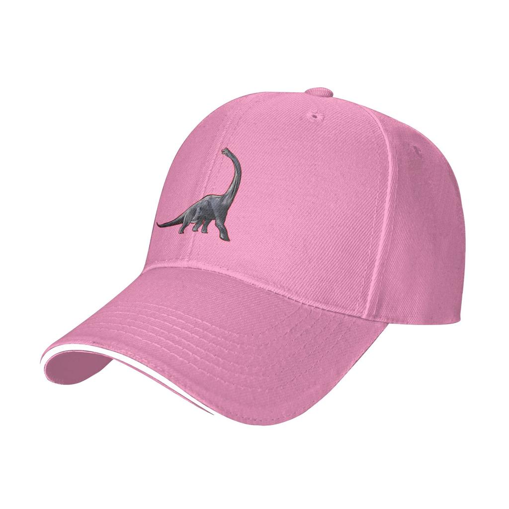 Fashion It s A Dinosaur Curved Brim Baseball Cap Versatile Denim Hat Sun Visor Ladies