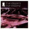 CD TRUESTEPPERS - True Stepping 74321812242 Ice Cream Recor 2000 UK Танцевальная и Электронная Музыка Б/У