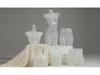 Unisex Half-Body Plastic Mannequin for Underwear Display