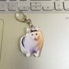 Huh Cat Rambling Goat Keychain Cat Pendant Confused Cat Memes Key Chain  Backpack Pendant