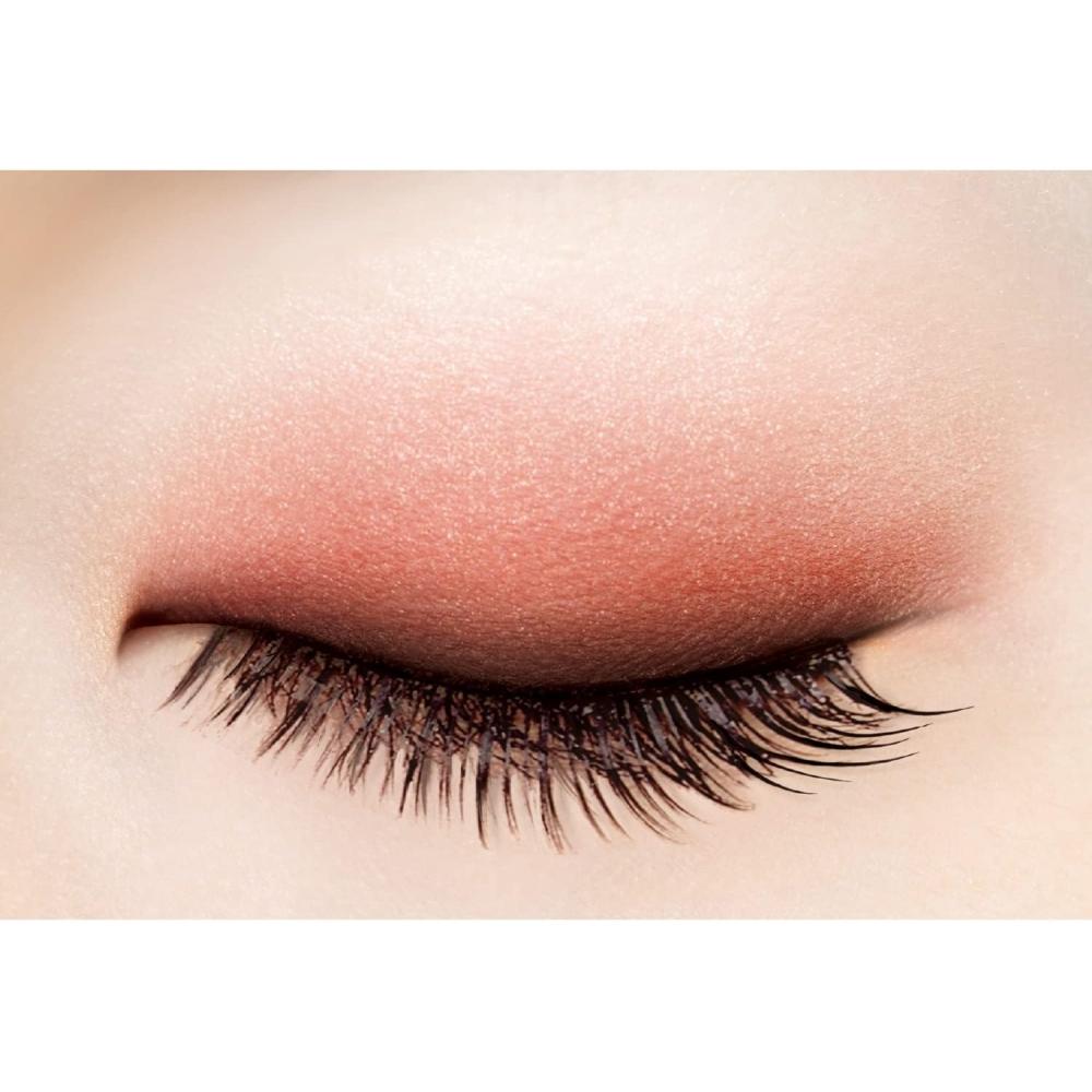 Excel Skinny Rich Shadow Sr11  23  Brick Brown  Limited Design eyeShadow Palette Limited Design Sr11 Brick Brown