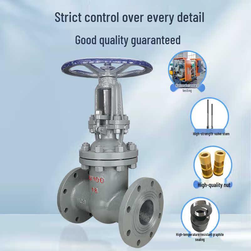 Wolf's Kiss Cast Steel High-Temperature Flange Gate Valve