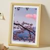 Photo Frame Wall Picture Frame with Shatter Resistant Plexiglass A4 Sized Painting Display Frame for Home Office Decor