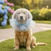 Mesh Pet Anti-Mosquito Headgear Adjustable Dog Protective Mask Portable Dog Face Mask  Outdoor