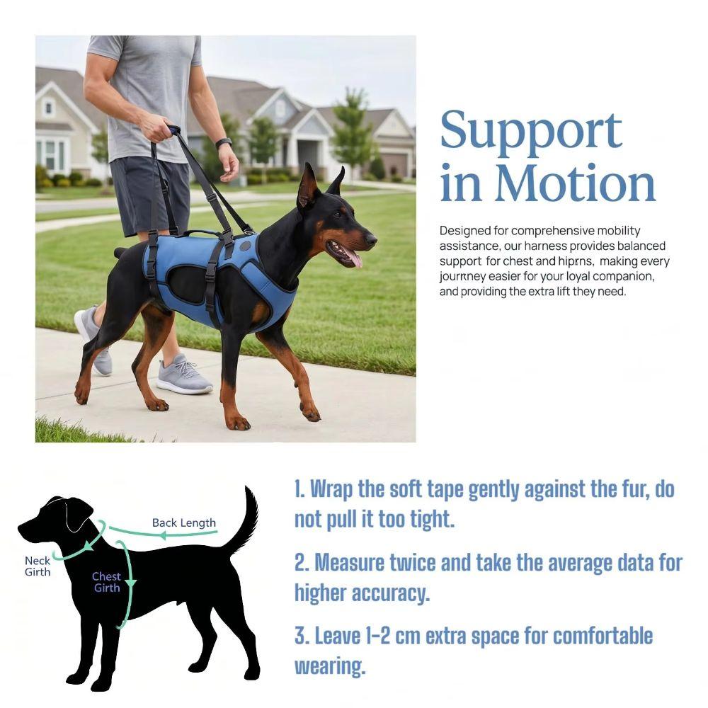 Adjustable Dog Rehabilitation Vest Breathable Pet Support Sling Senior Dogs