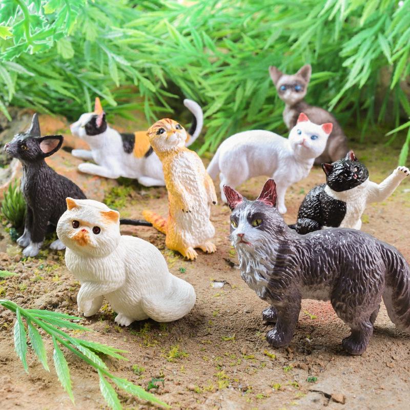 Международные ornaments с животными: Известные собаки и кошки - Тедди, Чау-чау, Персидская, Шотландская вислоухая.