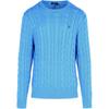 Polo Logo Embroidered Pullover Crew Neck Long Sleeve Knit Sweater Men Sweater Blue 710775885-510