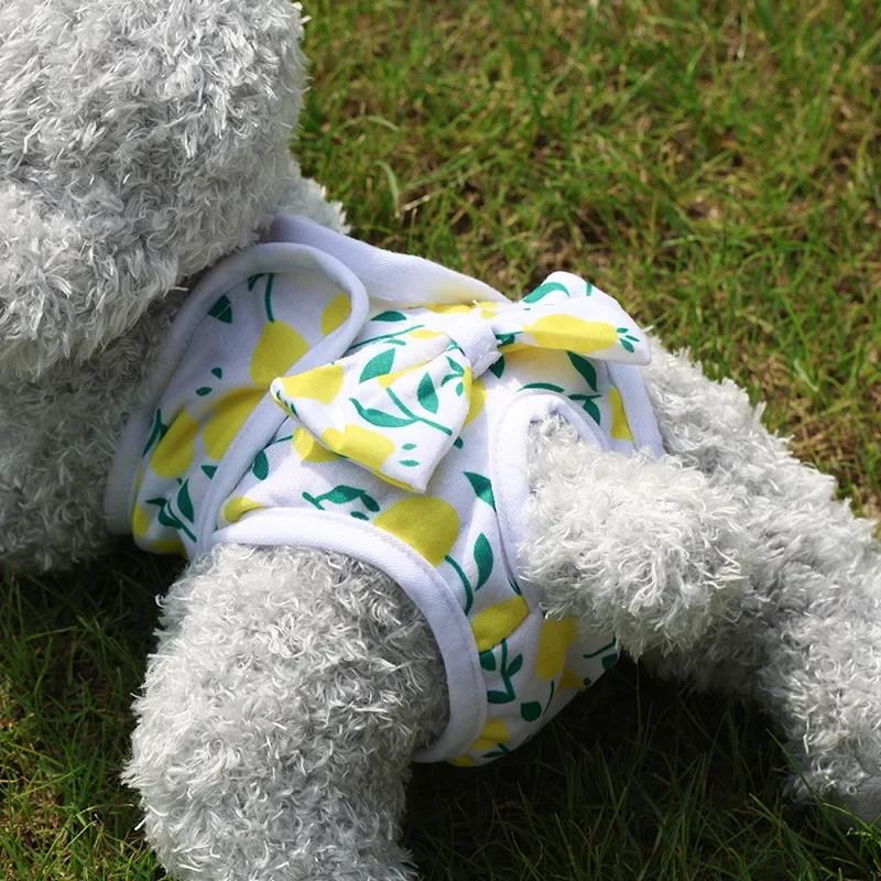 Dog Diapers Physiological Pant Puppy Women's Panties Shorts Underwear Washable Female Diper Pet Cat Clothes S-XL