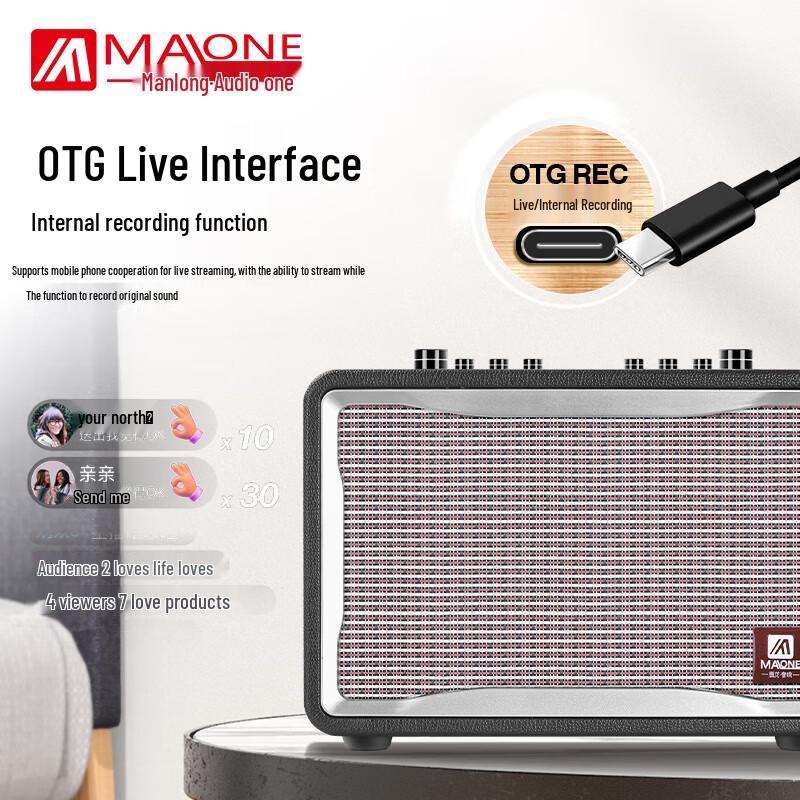 Manlong Portable Outdoor Karaoke Amplifier GT-001 CN plug (adapter included)