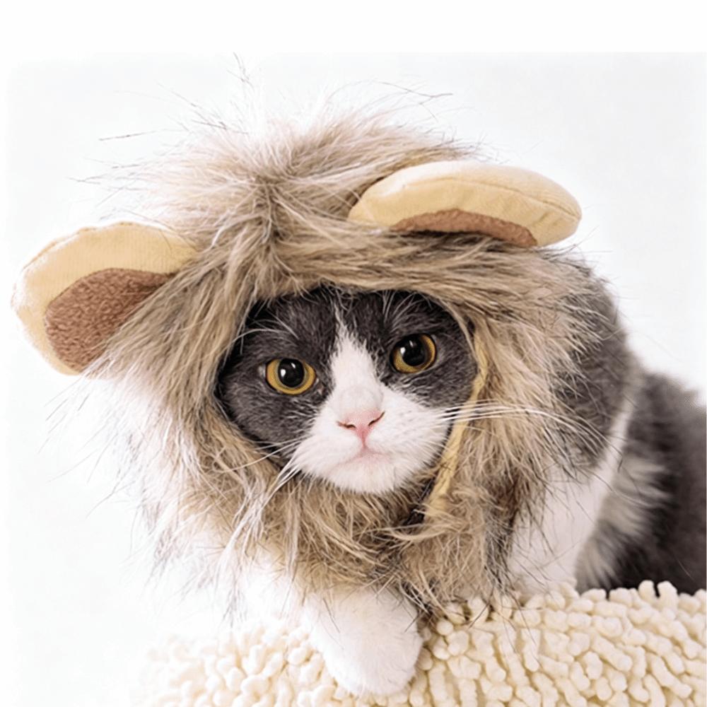 Face Opening Cat Mane Wig Rounded Ears Cat Mane Headpiece Mane Wig for Cat Indoor Cat Wear