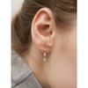 (Silver 925) Crystal Rain Earrings Ec3149