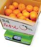 Простые автоматические весы Shinwa Sokutei Hosaku 50 кг 70026