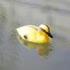 Floating Duck Ducklings Pond Statue Ornament Plastic Duck Decoy Floating Decorative Animal Sculptures Outdoors