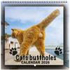 2026 Cats Buttholes Wall Calendar - Hilarious Cat Calendar A Fun Novelty Item For Cat Enthusiasts And Gift Seekers Home Decor