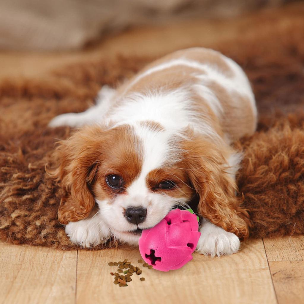 AUSCAT Игрушка для жевания собак, лакомство для собак среднего и большого размера, ранняя развивающая игрушка для снятия стресса в форме питайи, игрушка, мяч, игрушка, собаки, еда, игрушка,