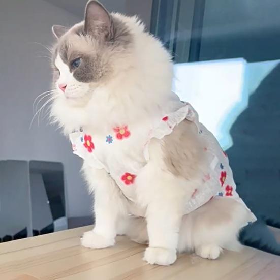 Летняя дышащая одежда для питомцев Yousheng с принтом цветов, вишни, мороженого, без рукавов, жилет, юбка для маленьких и средних собак и кошек, питомца-принцессы