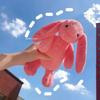 25 см Милая плюшевая игрушка Малыш Кролик Длинноухий Мягкая Набивная Кукла Зайчик Игрушка для Сна Девочки Дети Каваи Плюшевое Животное Подарки на День Рождения