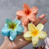 18Pcs Acrylic Flower Hair Accessories Gradient Hawaiian Style Hairpins Sweet Hair Claws  Summer