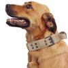 Household Quick Release Shepherd Training Rope Tactical Dogs Collar Dog Accessories Pets Collars
