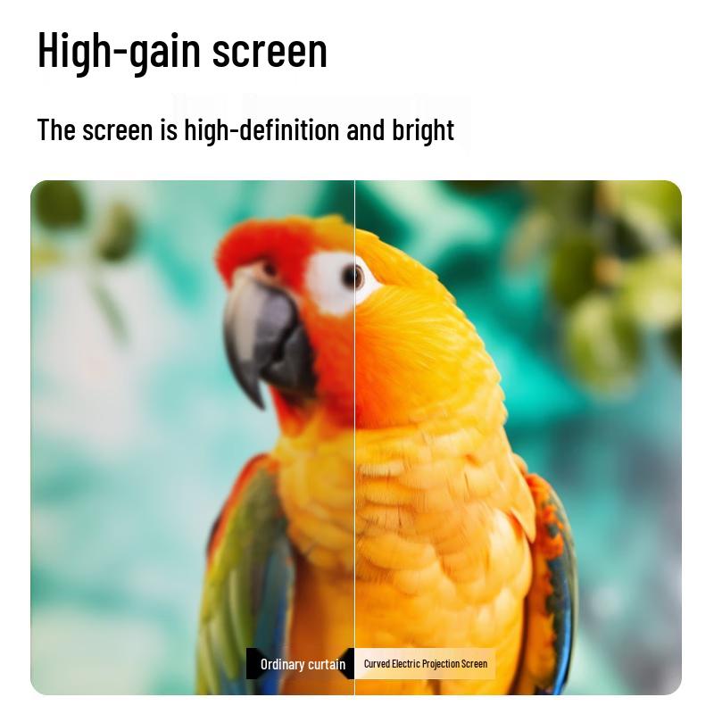Pang Juren 8K 16:9 Projector Screens