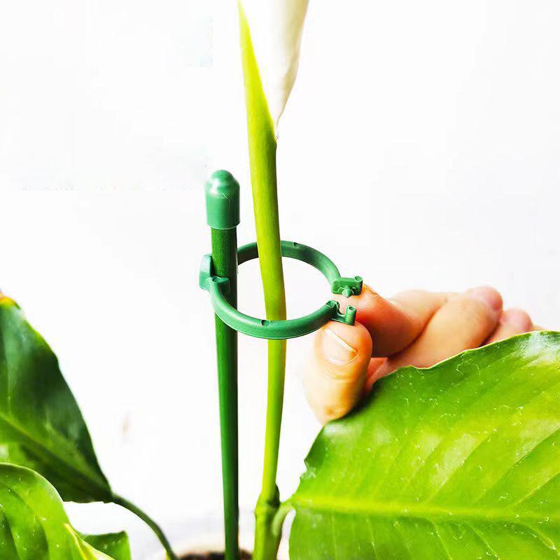 5pcs 30/60/90cm Plant Flower Potted Support Stand Tomato Climbing Holder Stake Stander Fixing Tool Garden for Orchid Bonsai A1