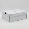 DQ4909-100 Nike Air Jordan 4 Sail Blank Canvas Cement Grey Fire Red (Женский)