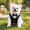 Легкий свадебный костюм для собаки, короткий рукав, весенний костюм-рубашка, наряд-смокинг для питомца, для собак породы той-терьер