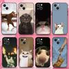 Чехол для телефона с мемами про кошек для iPhone 16,15,14,13,12,11 Plus,Pro Max,XS,X,XR,SE,Mini,8,7, Мягкий силиконовый черный чехол
