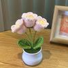 1PC Handmade Weaving Mini Potted Flowers DIY Home Office Desktop Decoration Potted Plants Wool Home Decoration