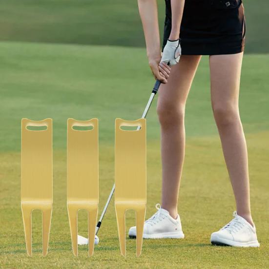 Инструмент для ремонта лунок на поле для гольфа 2 штифта Полированный Легко установить Портативный Тренировка по гольфу Гольф