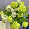 Высокое качество искусственный шелк цветок гортензии 3 головки для свадебного домашнего стола декоративные цветы