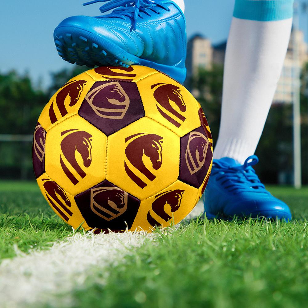 1PC Horse Silhouette Shield Emblem Soccer Ball Size 5 Football Machine Sewn Indoor/Outdoor Universal Football S11