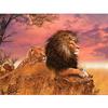 5D DIY Алмазная картина Лев Вышивка крестом Мозаика Картина Стразы Декор Алмазная вышивка