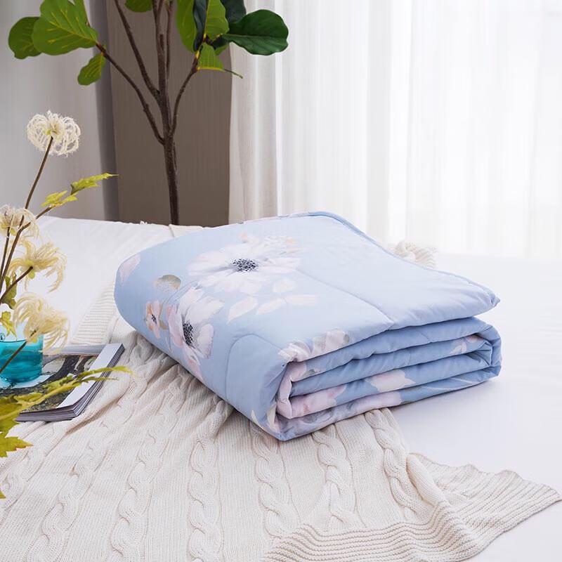 LUOLAI Ultimate Comfort Summer Quilt