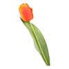 Artificial Tulip with Bendable Stem Realistic Fake Flower Low Maintenance Faux Tulip for Vase Flower Arrangement Home Party Wedding Decor
