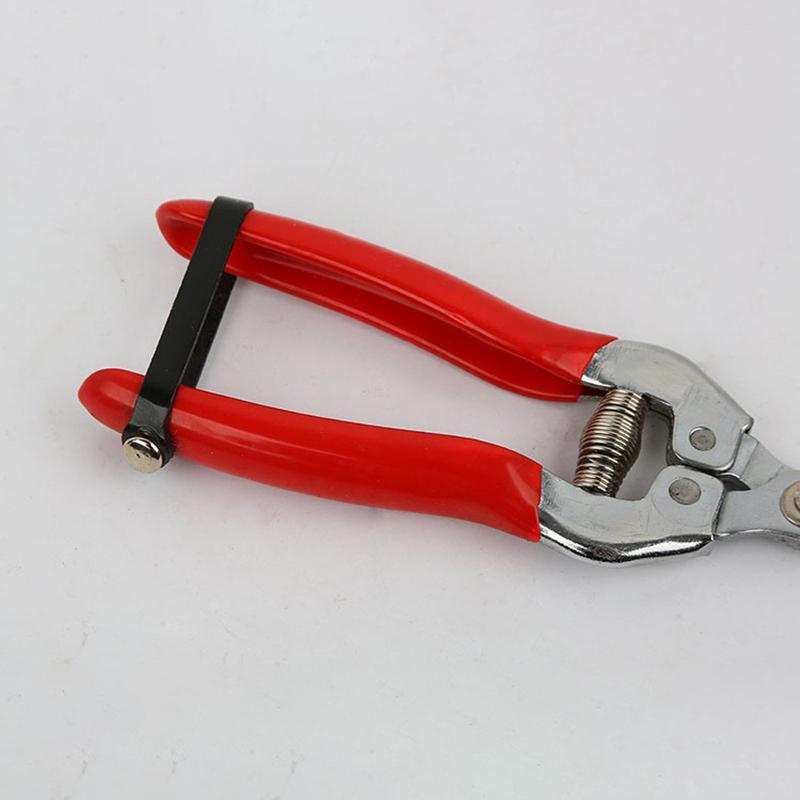 Stainless Steel Tree Pruning Garden Shears Grass Fruit Cutter Gardening Scissors Branch Pruners