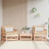 VidaXL Garden Chairs 2 Pcs, Seats with Armrest, Armchairs with Backrest, Outdoor Patio Terrace Furniture, Wood 825387
