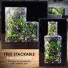 Buckle Lock Jumping Spider Enclosure Acrylic Reptile Feeding Tank Spider House  Small Pet Supplies
