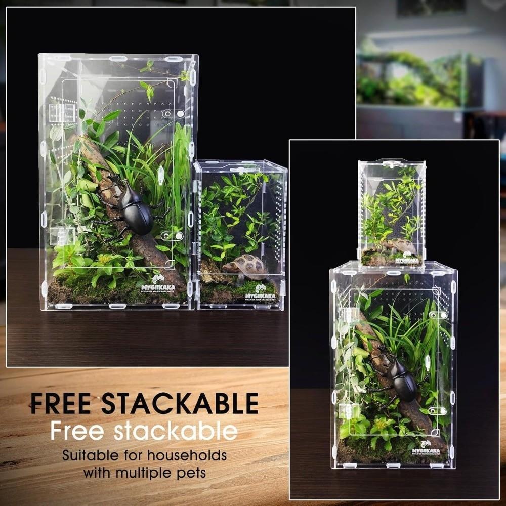 Buckle Lock Jumping Spider Enclosure Acrylic Reptile Feeding Tank Spider House Small Pet Supplies