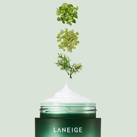 LANEIGE Cica Sleeping Mask 60ml Special (+10ml+worseulma 30ml)