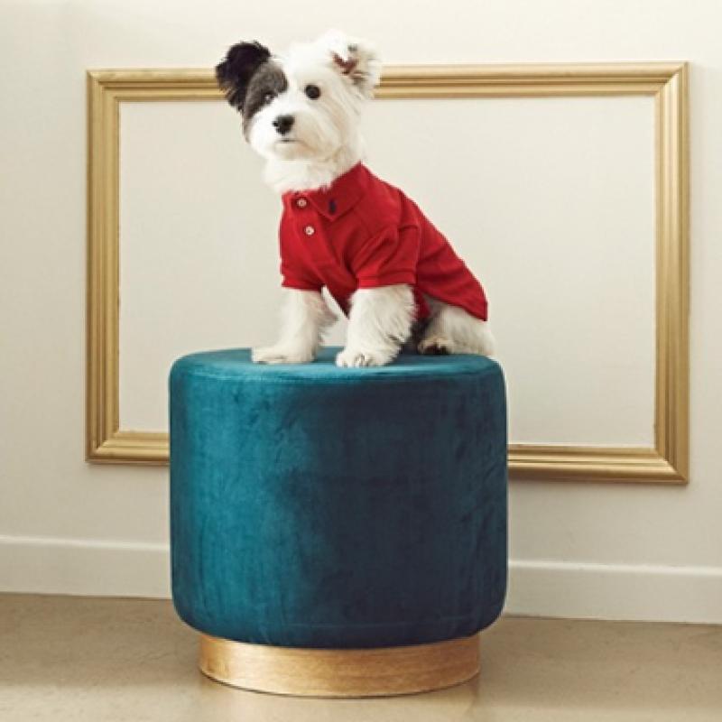 Ralph Lauren Polo Bear Cotton Mesh Dog Polo Shirt Hmpogfthr920019400