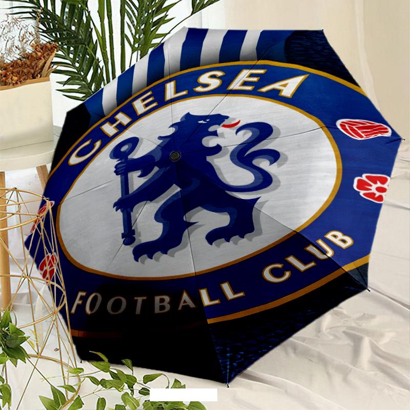 C-Chelsea Umbrella with Automatic Open/Close & Self-8-Rib Heavy-Duty Umbrella, Compact Travel Umbrella Suitable for Outdoor