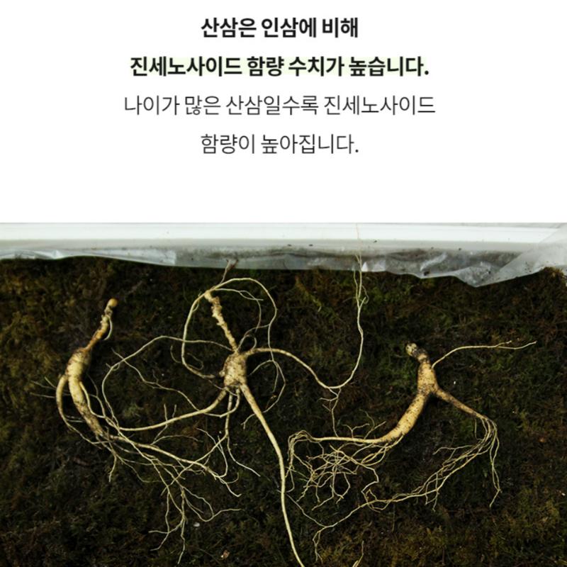8-year-old Wild Ginseng Containing the Spirit of Gangwon-do