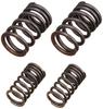 SP Takegawa Valve Spring Set Monkey 01-12-0101