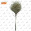 Bamboo Outdoor Broom