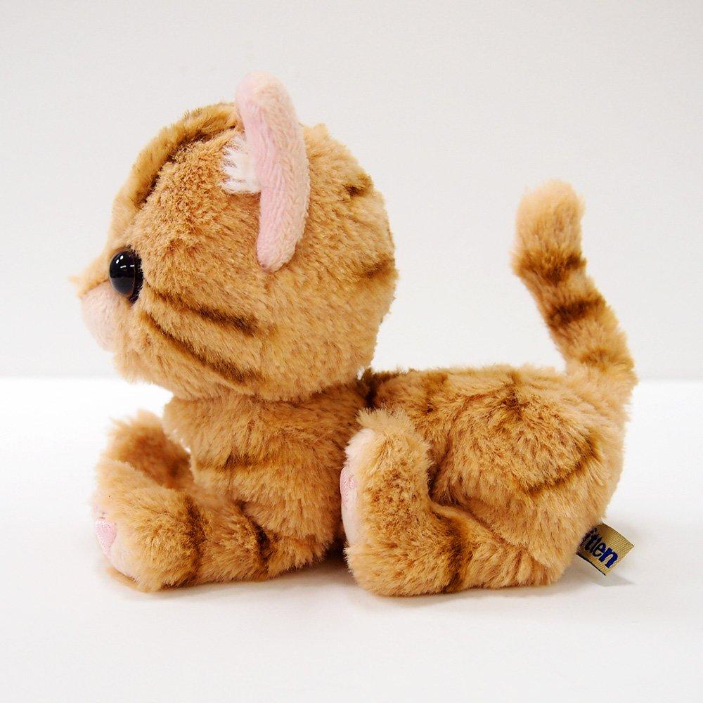 Котенок Sun Lemon American Shorthair Brown xx Мягкая игрушка Cat 14.9 16.3 7.2 см P-7531