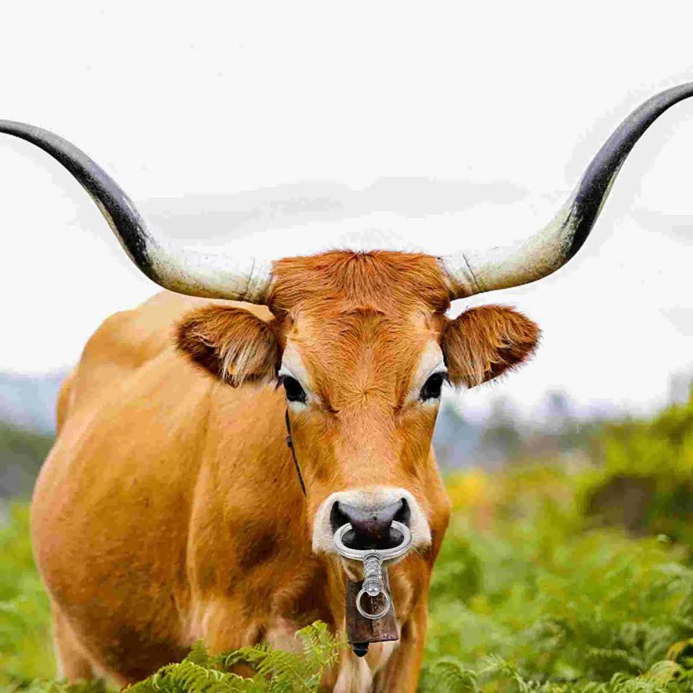 Пружинные кольца для носа крупного рогатого скота, зажим для носа скота из нержавеющей стали, принадлежности для животноводства