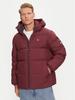 Зимняя куртка Water Repellent Down Jacket (DM0DM19786) красный