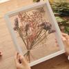 Глубина 4 см 6”/7”/8”/10” Прозрачная Деревянная Рамка Цветок Сушеные Цветы Роза Сохранение Цветов DIY Фото Витрина Коробка Украшение Дома